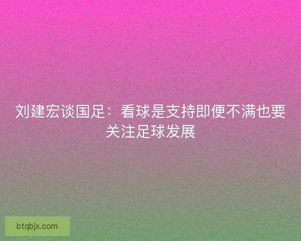 刘建宏谈国足：看球是支持即便不满也要关注足球发展