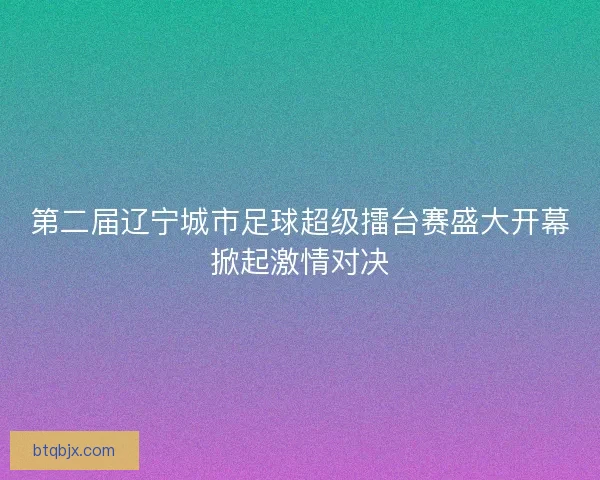 第二届辽宁城市足球超级擂台赛盛大开幕掀起激情对决