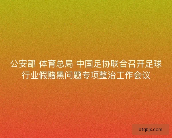 公安部 体育总局 中国足协联合召开足球行业假赌黑问题专项整治工作会议